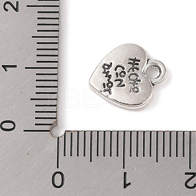 Tibetan Style Alloy Charms FIND-C060-053AS-1