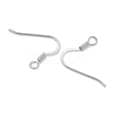 SHEGRACE Brass Earring Hooks XGR0139P-152P-1