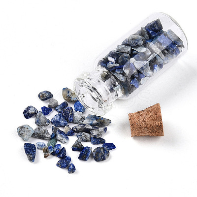 Glass Wishing Bottle Display Decorations AJEW-T013-02E-1