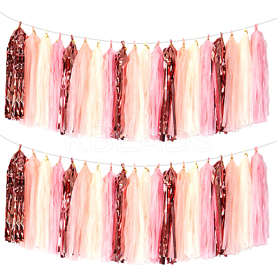 Aluminum Foil Tassels Hanging Garland Banner DIY-WH20011-29A-1
