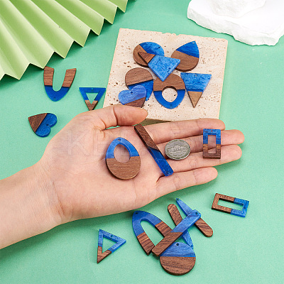 20Pcs 10 Styles Transparent Resin & Walnut Wood Pendants RESI-TA0003-21-1