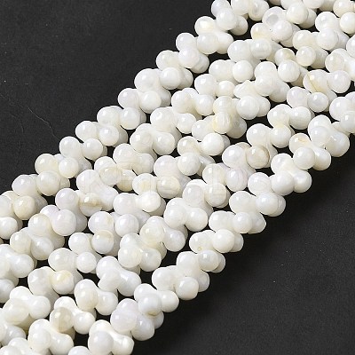 Natural Freshwater Shell Beads Strands BSHE-E026-17-1