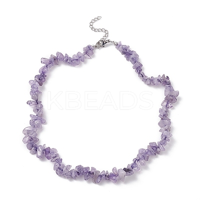 Natural Amethyst Chips Beaded Necklaces NJEW-JN04275-02-1