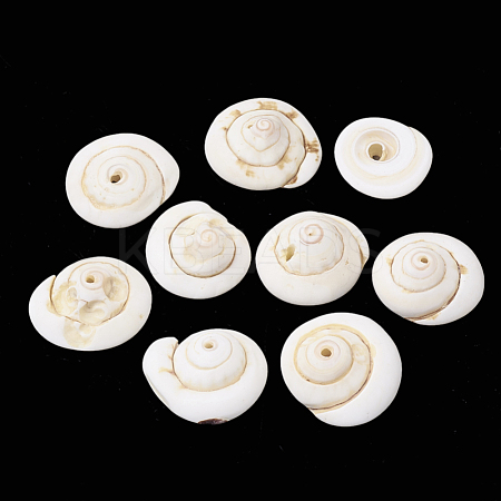 Natural Shiva Eye Shell Beads SSHEL-Q302-01-1