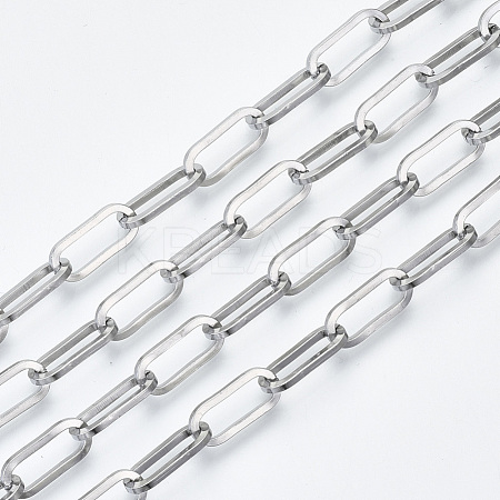 Tarnish Resistant 304 Stainless Steel Paperclip Chains CHS-S001-04A-P-1