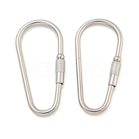 Non-Tarnish 304 Stainless Steel Screw Carabiner Lock Charms STAS-C092-06P-1