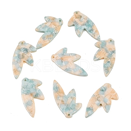 Cellulose Acetate(Resin)Pendants KY-XCP0001-40-1