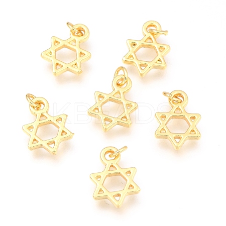 Alloy Charms PALLOY-B024-17G-1