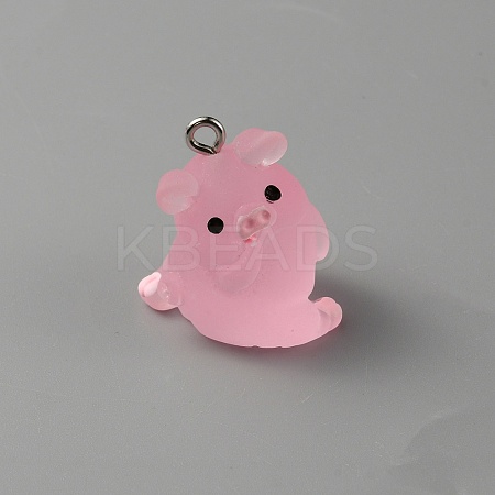 Luminous Translucent Resin Pendants RESI-SZC0004-01C-1