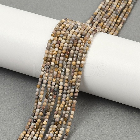 Natural Alashan Agate Beads Strands G-C181-B05-01-1