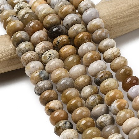 Natural Fossil Coral Beads Strands G-A280-A08-03-1