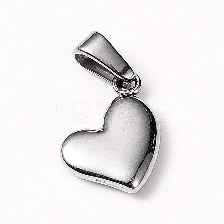 Tarnish Resistant 304 Stainless Steel Charms LS-STAS-I127-068P-1