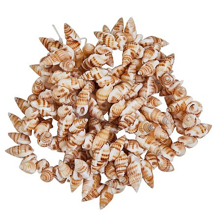 Natural Spiral Shell Beads Strands BSHE-SZ0001-03-1