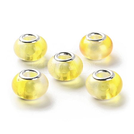 Two Tone Resin European Beads RESI-M001-02F-1