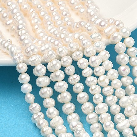 Natural Cultured Freshwater Pearl Beads Strands PEAR-L034-04-1