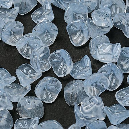 Glass Beads GLAA-G119-01H-1