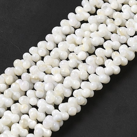 Natural Freshwater Shell Beads Strands BSHE-E026-17-1