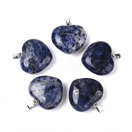 Natural Sodalite Pendants G-N349-05B-P-1