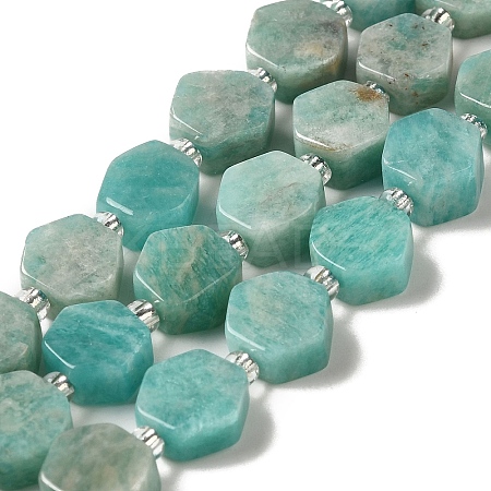 Natural Amazonite Beads Strands G-P534-A07-02-1