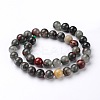Natural African Bloodstone Beads Strands G-L383-06-8mm-2
