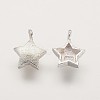 925 Sterling Silver Charms STER-K029-12MS-2