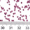 FGB 11/0 Grade A Baking Paint Glass Seed Beads SEED-S030-1147-4