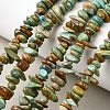 Natural HuBei Turquoise Bead Strands G-H345-A01-04-1