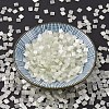 MIYUKI TILA Beads SEED-MY05-TL2591-2