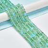 Frosted Transparent Glass Beads Strands X-FGLA-M002-01F-2