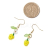 Handmade Glass Seed Beads Apple Dangle Earrings EJEW-MZ00575-03-4