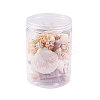 Natural Scallop Shell Beads SSHEL-CJ0001-02-7