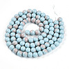 Baking Paint Glass Beads Strands DGLA-N012-10mm-06-2
