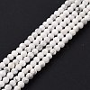Natural Howlite Beads Strands G-H273-02A-2