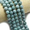 Natural Malaysia Jade Beads Strands G-L645-A01-10mm-12-3