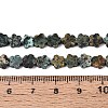 Natural African Turquoise(Jasper) Beads Strands LS-G-N257-24A-05-5