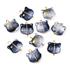 10Pcs Glass Pendants PALLOY-YW00061-02-1