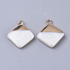 Electroplate Freshwater Shell Pendants X1-SHEL-S276-64-2