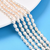 Natural Cultured Freshwater Pearl Beads Strands PEAR-N012-04U-1