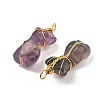 Natural Fluorite Pendants G-K338-30G-01-2