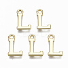 Alloy Charms PALLOY-Q441-025L-NR-1