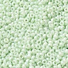 Baking Paint Glass Seed Beads SEED-P006-03A-33-3