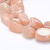 Natural Sunstone Beads Strands G-K203-11B-3