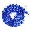 Natural Blue Agate(Dyed & Heated) Beads Strands G-H057-A14-02-3