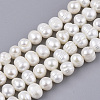 Natural Cultured Freshwater Pearl Beads Strands PEAR-Q015-032A-01-1