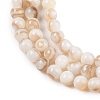 Natural Freshwater Shell Beads Strands SHEL-T011-02-2mm-3