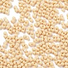 Baking Paint Glass Seed Beads X1-SEED-A033-05G-4