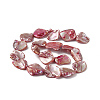 AB Color Plated Natural Freshwater Shell Beads Strands BSHE-G033-03A-2
