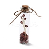 Mini Natural Crystal & Stone Beads Wishing Bottles LS-G-C232-05E-1