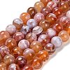 Dyed Natural Agate Beads Strands G-G203-10K-12mm-2
