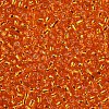 12/0 Glass Seed Beads SEED-A005-2mm-29-2